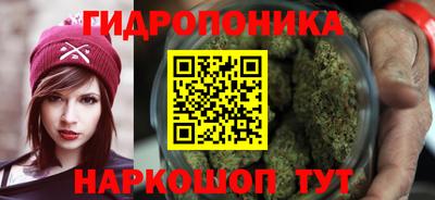 прущие грибы Кудымкар
