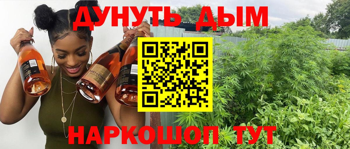 Бошки марихуана Ganja  Конопля SATIVA & INDICA  Канабис Amnesia  Екатеринбург  Вход с VPN  Бошки марихуана Bruce Banner 